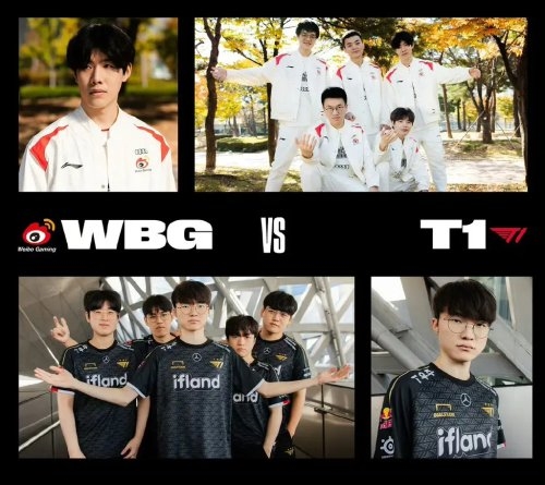 纵观整个赛 纵观整个赛